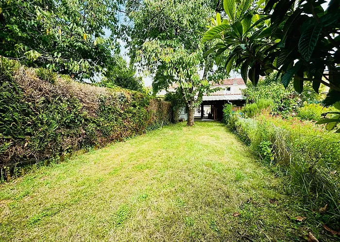 Apartment La Maison Du Parc, Charme Et Tranquillite Niort